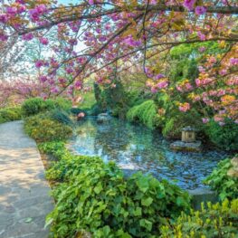 Orti Botanici e Giardini Storici, tra passato e futuro - Accademia Pugliese delle Scienze