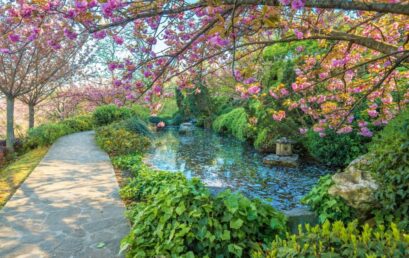 Orti Botanici e Giardini Storici, tra passato e futuro – 8 febbraio 2023