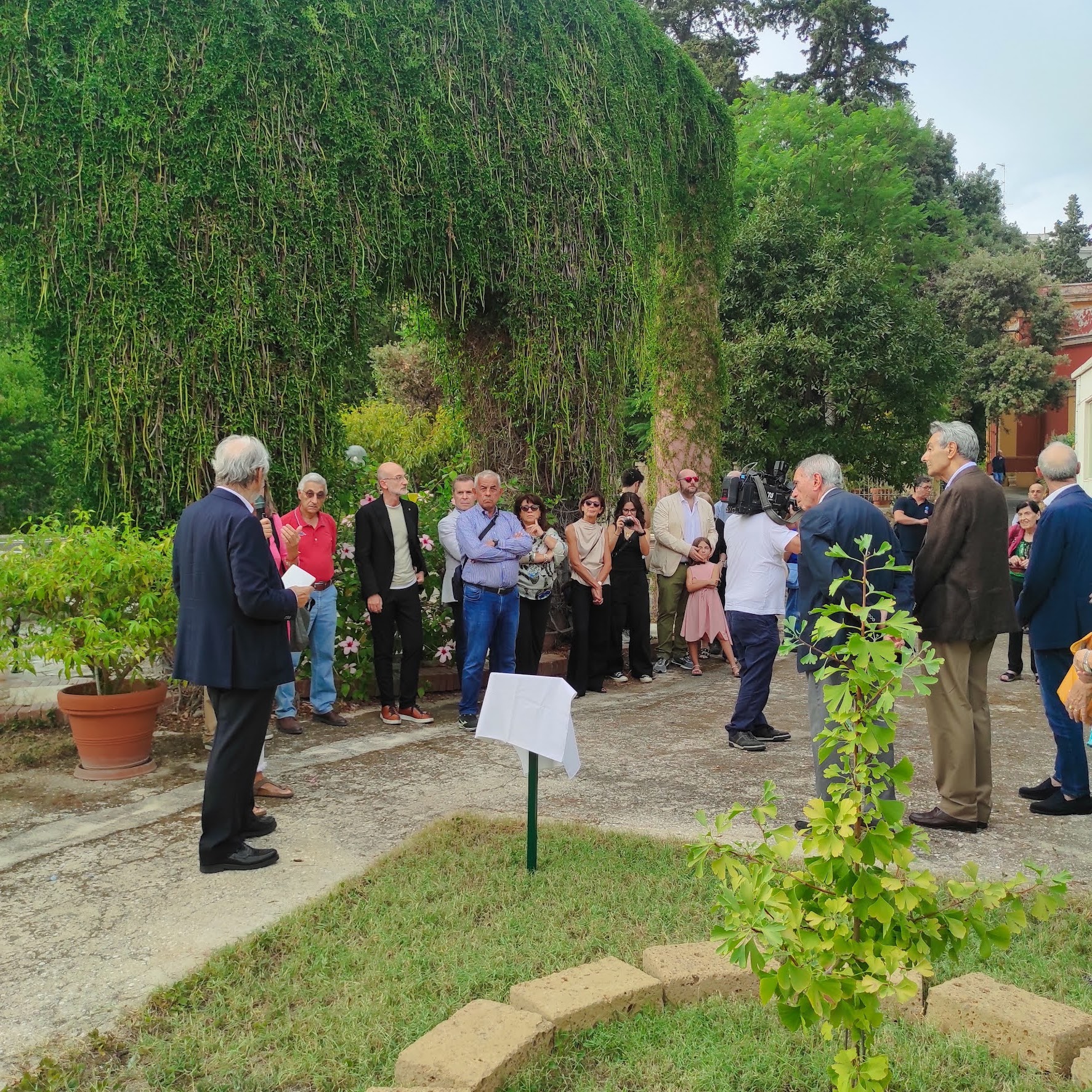 Scopertura Targa Albero della Pace – Accademia Pugliese delle Scienze Scopertura Targa Albero della Pace – Accademia Pugliese delle Scienze